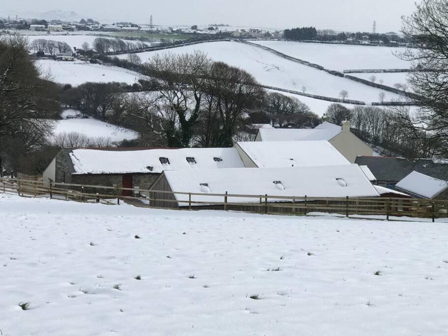 Hendra Retreat Piglets North Cornwall Camelford