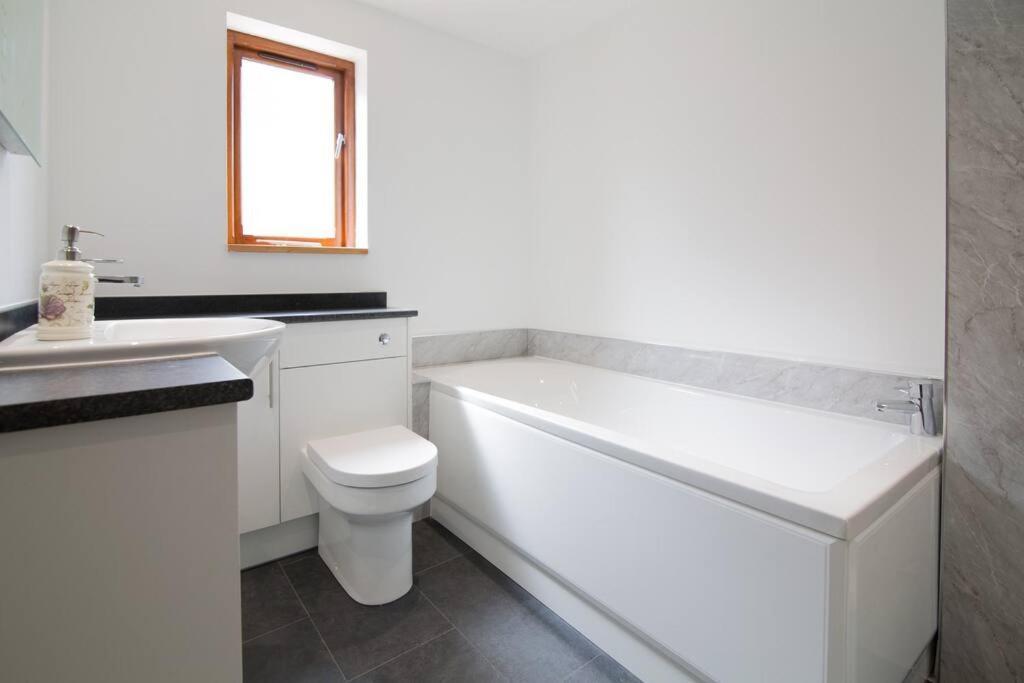 Hendra Retreat Piglets North Cornwall * Camelford