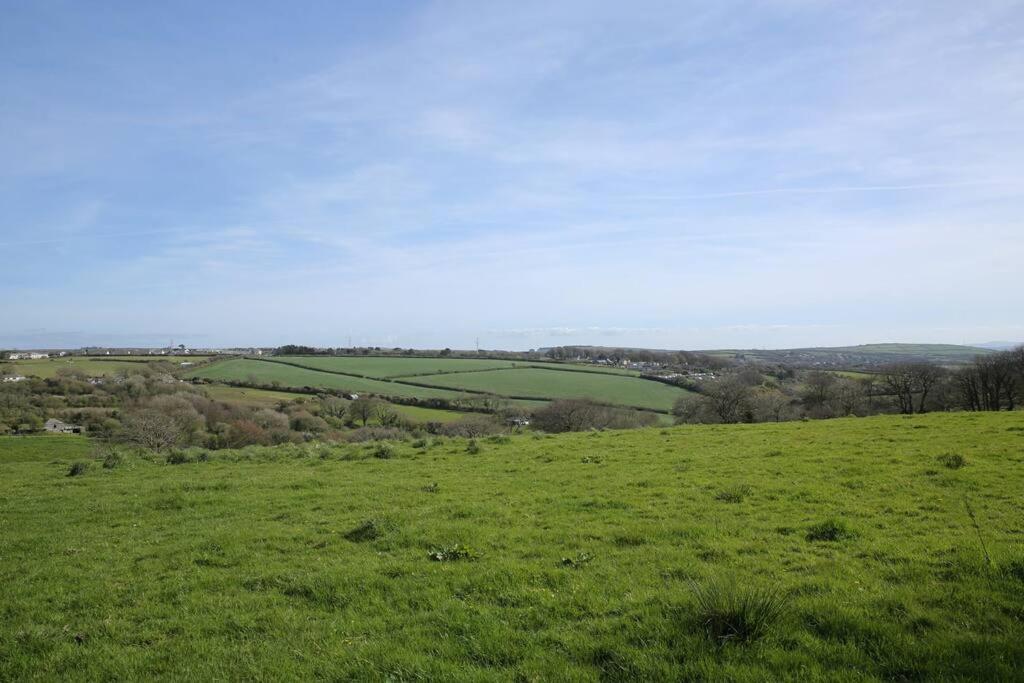 Hendra Retreat Piglets North Cornwall * Camelford